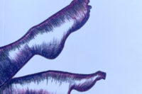 Oracle from the Akashic Records